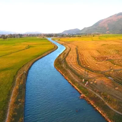 thơm nở ruộng diên khánh