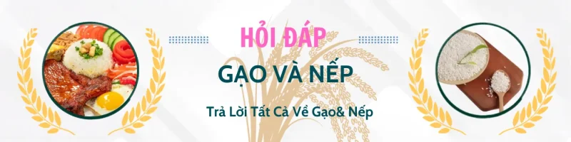hỏi đáp gạo và nếp