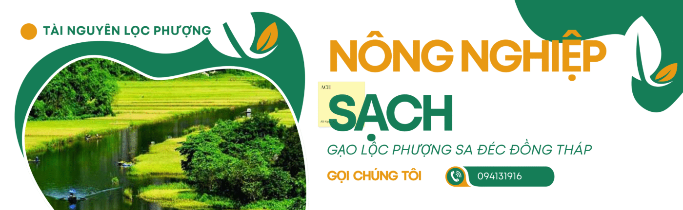Gạo Lộc Phượng