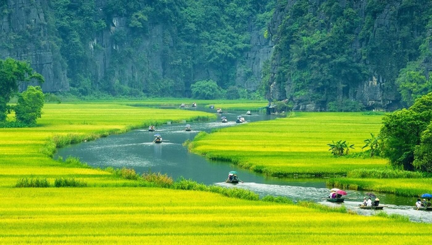 Việt Nam vựa lúa thế giới