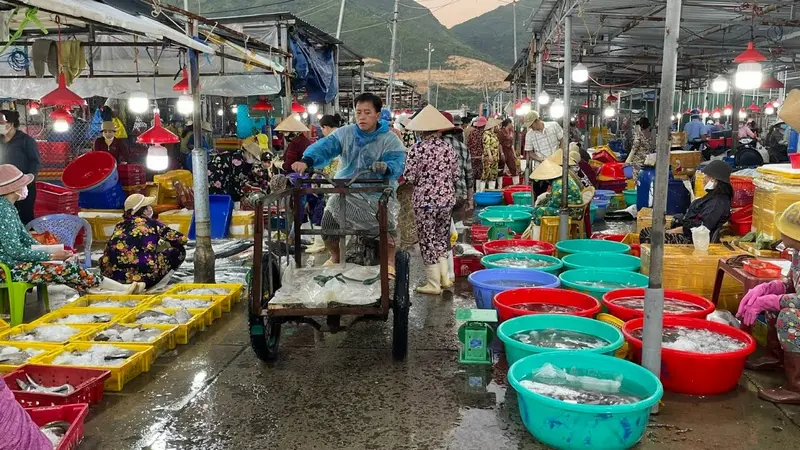 Cảng cá Vĩnh Lương vào sáng sớm