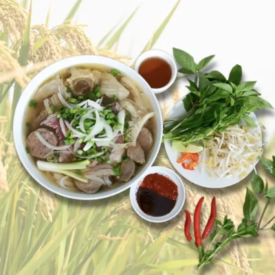 gạo bánh phở bún