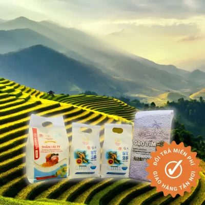 Gạo Chọn Lọc