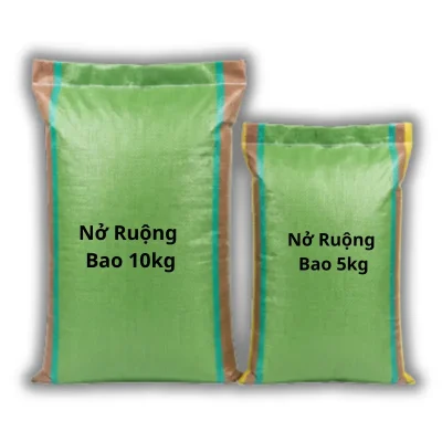 gạo nở ruộng